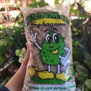 Sphaigne vivante et fraîche naturelle (5L)